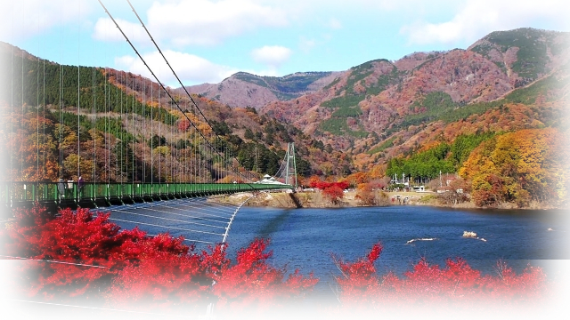 栃木県那須塩原の紅葉・もみじ谷大吊橋